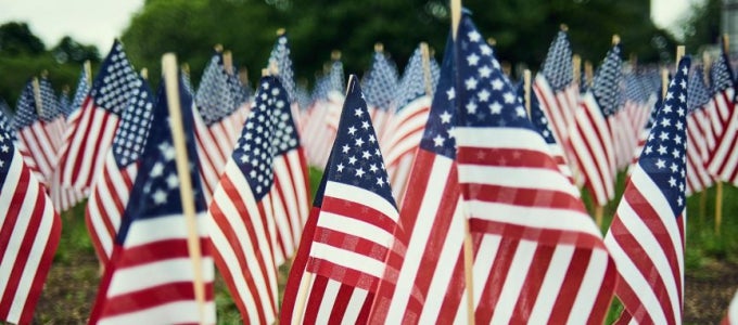 american flags in the grass